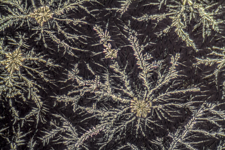 microscopic detail showing microcrystals of a cleaning agent