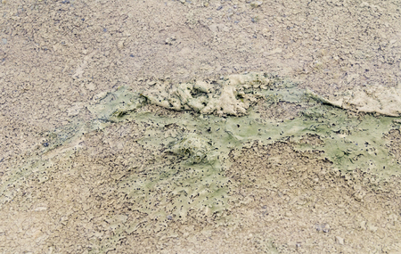 abstract natural background showing organic slime in a water puddle