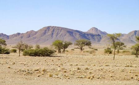 sandy savanna scenery seen in Namibia, Africaの写真素材