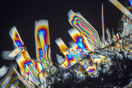 macro shot of growing microcrystals of soda lye in polarized lightの写真素材