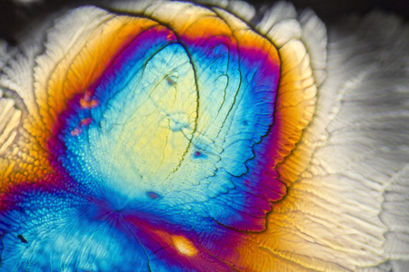 microscopic Galactose crystals illuminated with polarized light