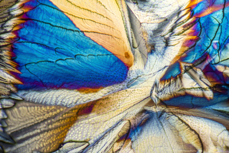 microscopic Galactose crystals illuminated with polarized lightの写真素材