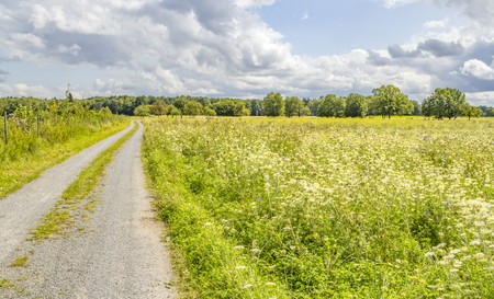 rural agricultural scenery in Hohenlohe, a area in Southern Germanyの写真素材