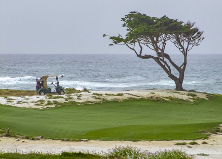 idyllic coastal scenery with tree and golf car around the Monterey Peninsula in California, USAの写真素材