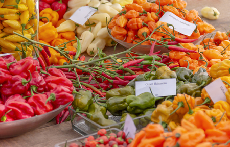 Various chili cultivarsの写真素材