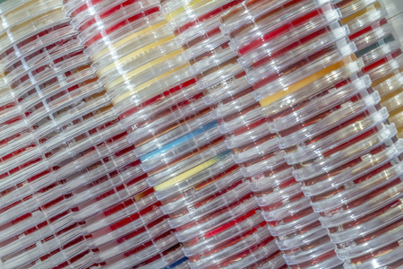 Full frame abstract shot showing lots of stacked petri dishes filled with colorful agar growth...