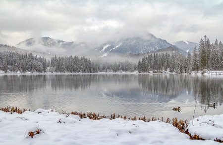 lake named Hintersee in Bavaria at winter timeのeditorial素材