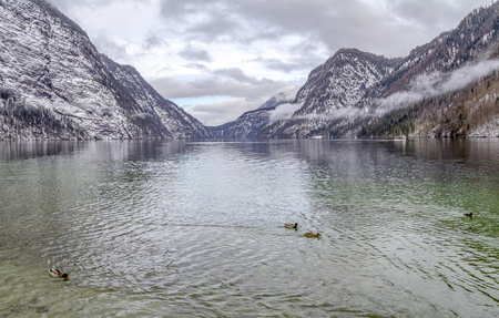 scenery near St. Bartholomae at a lake named Koenigssee located in the Berchtesgadener Land in Bavaria (Germany) at winter timeの写真素材