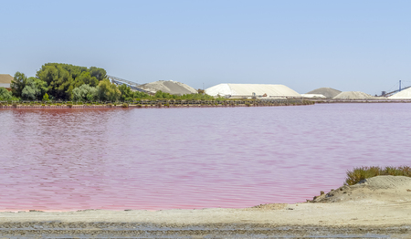 Salt works scenery in the Camargue area in southern France with pink salt evaporation pond in sunny ambianceの写真素材
