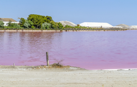 Salt works scenery in the Camargue area in southern France with pink salt evaporation pond in sunny ambianceの写真素材