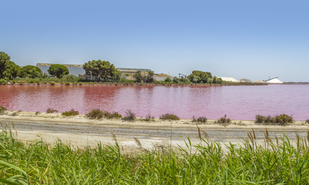 Saltworks scenery in the Camargue area in southern France with pink salt evaporation pond in sunny ambianceの写真素材