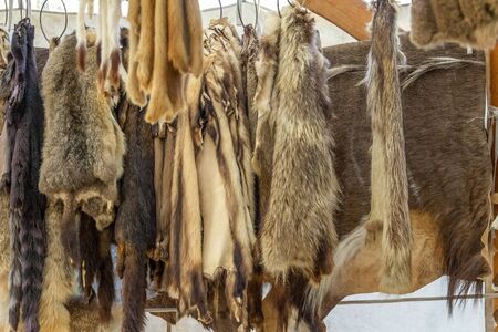 various hanging fur pieces seen at a medieval marketの写真素材