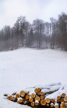 idyllic winter scenery near Ramsau bei Berchtesgaden in the Bavarian Alpsの写真素材