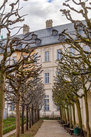 some trees seen in the Rosengarten at the Neue Residenz in Bambergのeditorial素材