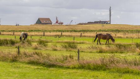 impression of Spiekeroog, one of the East Frisian Islands at the North Sea coast of Germanyの写真素材