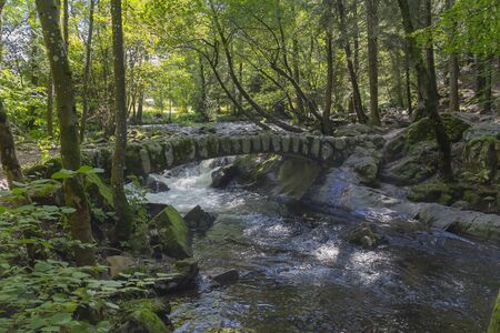 forest scenery around a small historic stone bridge at the Vologne river near Gerardmer in the...