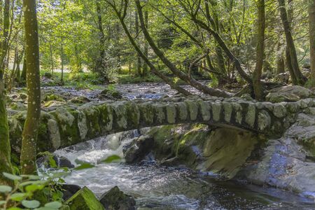 forest scenery around a small historic stone bridge at the Vologne river near Gerardmer in the...
