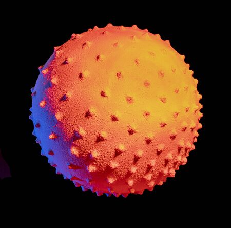 picture of a colorful illuminated symbolic virus in black back