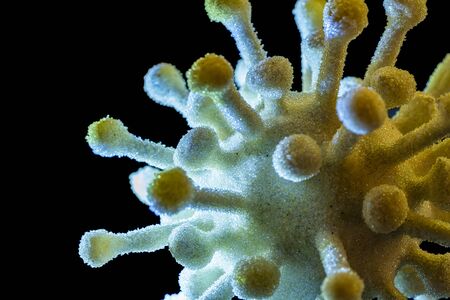 detail of a colorful illuminated symbolic virus in dark backの写真素材