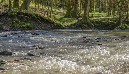 idyllic scenery at the Kupfer river in Southern Germany at early spring time