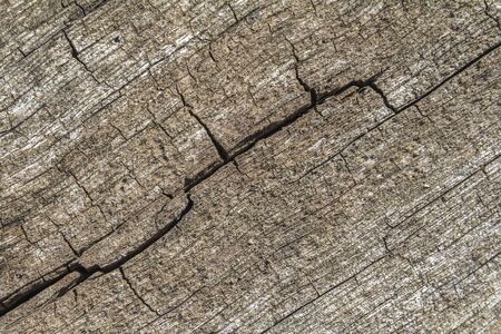 full frame abstract detail of fissured weathered wood
