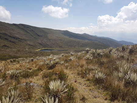 scenery at the Chingaza National Natural Park in Colombiaの写真素材