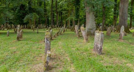 historic jewish Graveyard near Berlichingen in Hohenlohe, a area in Southern Germany at summer timeのeditorial素材