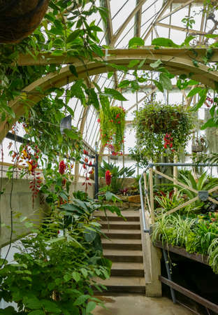 Scenery at Christchurch Botanic Gardens in New Zealandの写真素材