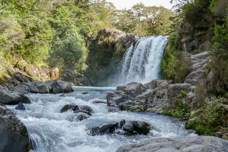 Sunny scenery around a waterfall in New Zealandの写真素材