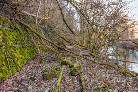 Entangled cenery near river Jagst in Hohenlohe, a district in Southern Germany
