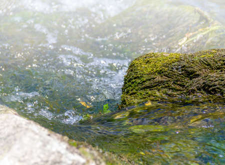Detail shot of a small stony river in sunny ambiance