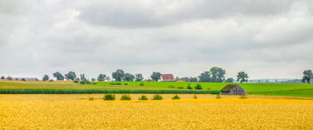 Agricultural scenery with barn and fields and farm houses at summer time in clouded ambianceの写真素材