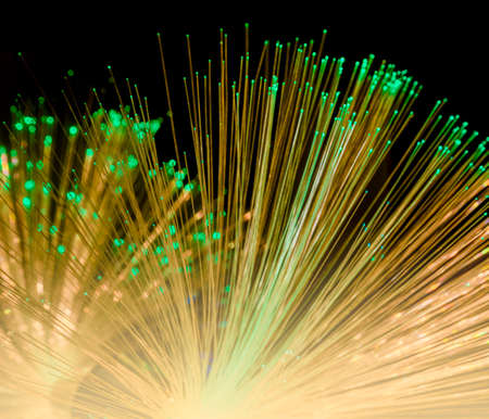 Illuminated optical fibers closeup in dark, back