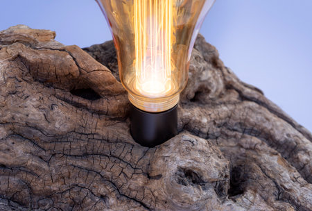 Detail shot of a wooden electric lamp with glowing light bulb