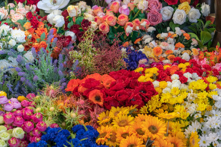 Full frame closeup shot showing lots of colorful flowersの写真素材