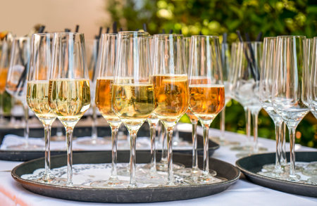 Outdoor garden showing scenery some half filled sparkling wine glasses on a trayの写真素材