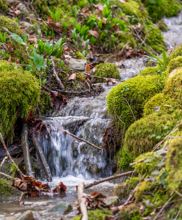 Closeup shot of a small rivulet with some cascades in early spring timeの写真素材