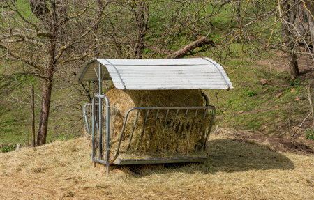 Hay rack filled with hay in sunny ambianceの写真素材