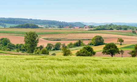 Idyllic rural scenery showing some fruit trees, meadows and fields in Hohenlohe, an area Southern Germanyの写真素材