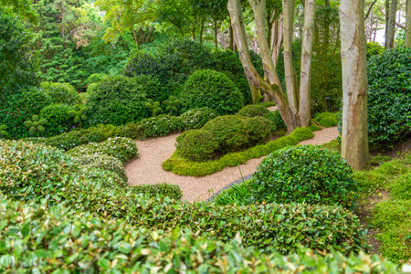 Idyllic garden scenery with green trees, bushes and hedges around a footpath at summer time lakes in Normandy, Franceの写真素材