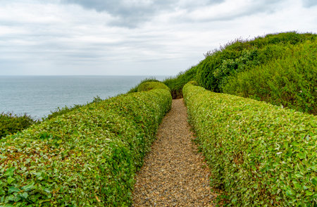 Coastal park scenery with green bushes and hedges around a footpath at summer time lakes in Normandy, Franceの写真素材