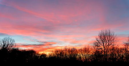 A colorful sundown including some clouds behind some leafless treetop silhouettesの写真素材