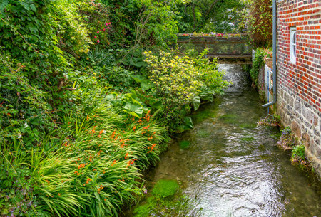 Scenery around river Veules at Veules-les-Roses, a commune in the Seine-Maritime department in the Normandy region in northern Franceの写真素材