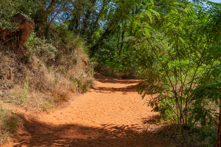 Impression around the Ocher Path near Roussillon, a commune in the Vaucluse department of the Provence region in southern Franceの写真素材