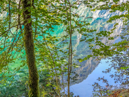 Mirroring scenery around a lake located in the Berchtesgadener Land in Bavaria (Germany) at summer...