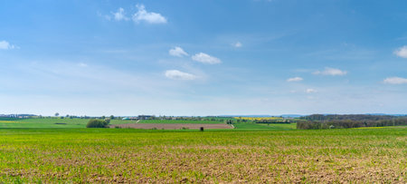 Rural panoramic scenery in Hohenlohe, an area in southern Germany at spring timeの写真素材