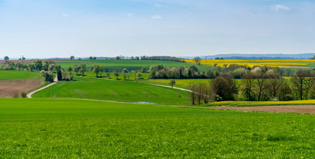 Rural panoramic scenery in Hohenlohe, an area in southern Germany at spring timeの写真素材