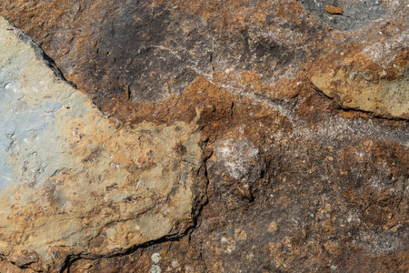 Full frame closeup shot of a brown dappled rough stone surfaceの写真素材