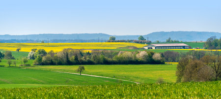 Rural panoramic scenery in Hohenlohe, an area in southern Germany at spring timeの写真素材