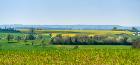 Rural panoramic scenery in Hohenlohe, an area in southern Germany at spring timeの写真素材